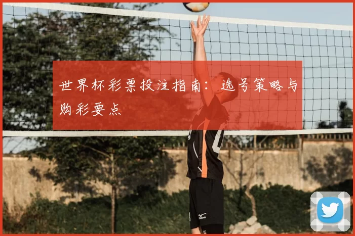 世界杯彩票投注指南:选号策略与购彩要点