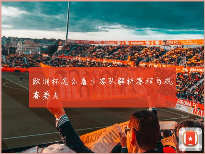 欧洲杯怎么看主客队解析赛程与观赛要点