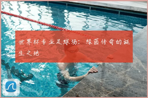 世界杯专业足球场:绿茵传奇的诞生之地
