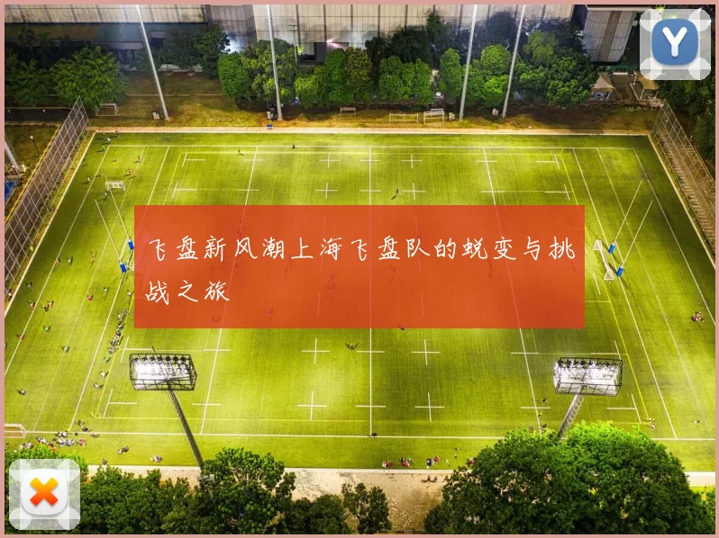 飞盘新风潮上海飞盘队的蜕变与挑战之旅