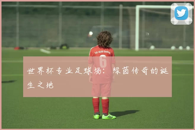 世界杯专业足球场：绿茵传奇的诞生之地