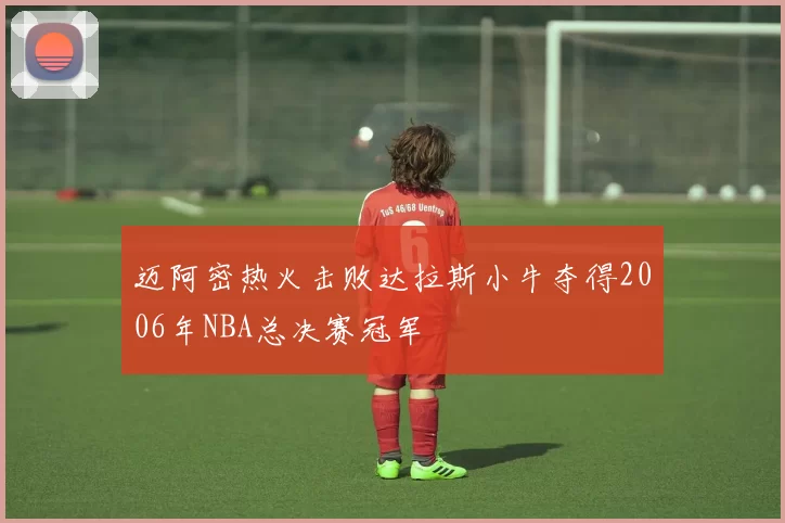 迈阿密热火击败达拉斯小牛夺得2006年NBA总决赛冠军