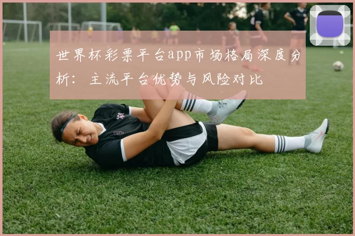 世界杯彩票平台app市场格局深度分析:主流平台优势与风险对比