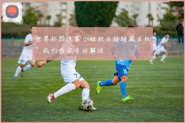 世界杯预选赛小组积分榜暗藏玄机?我们为你专访解读