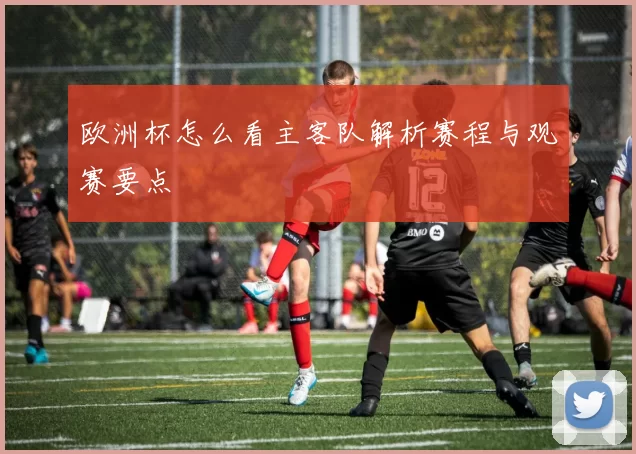 欧洲杯怎么看主客队解析赛程与观赛要点