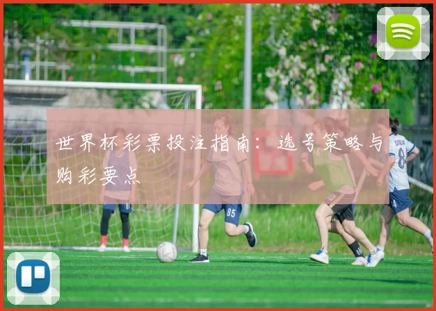 世界杯彩票投注指南:选号策略与购彩要点