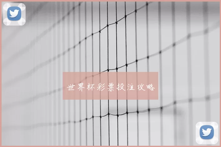 世界杯彩票投注攻略