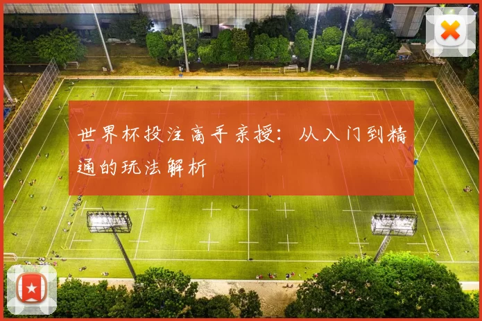 世界杯投注高手亲授:从入门到精通的玩法解析