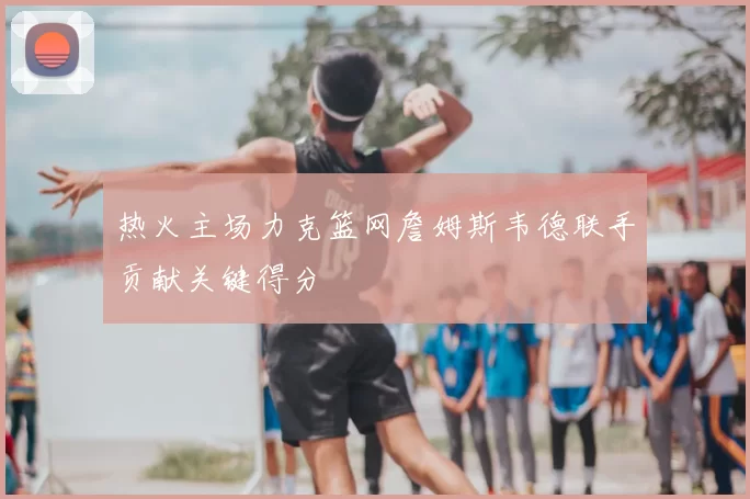 热火主场力克篮网詹姆斯韦德联手贡献关键得分