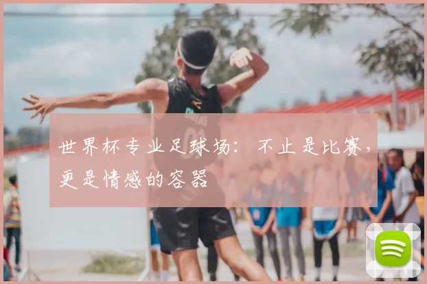 世界杯专业足球场：不止是比赛，更是情感的容器