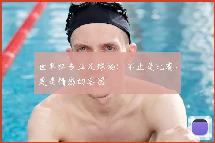 世界杯专业足球场:不止是比赛,更是情感的容器