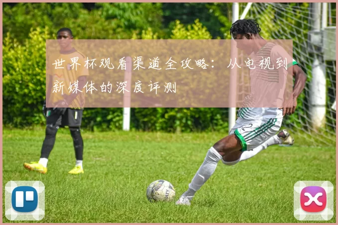 世界杯观看渠道全攻略：从电视到新媒体的深度评测