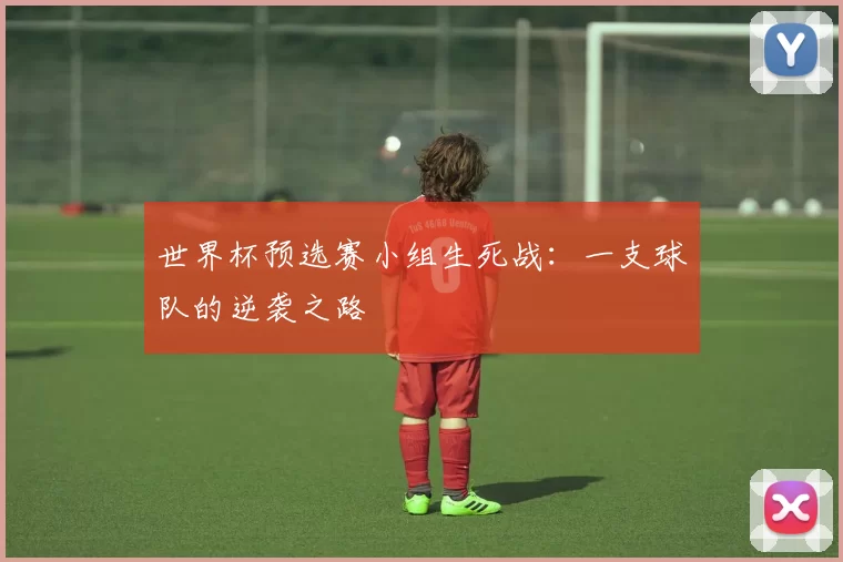 世界杯预选赛小组生死战:一支球队的逆袭之路