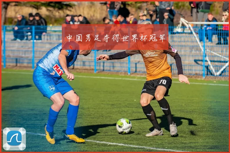 中国男足夺得世界杯冠军