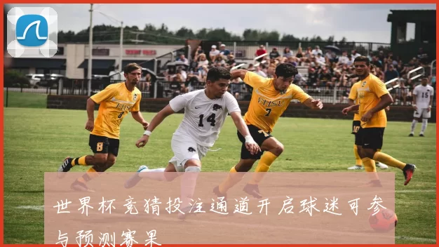 世界杯竞猜投注通道开启球迷可参与预测赛果